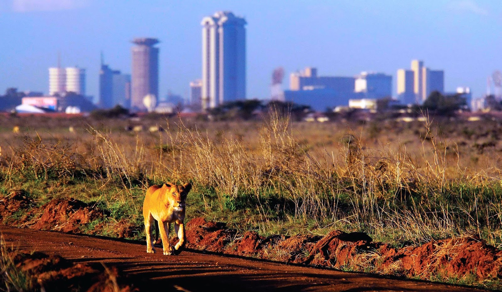 Nairobi National park tour 